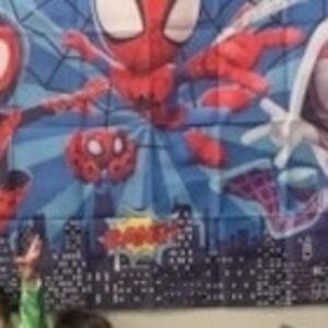 Spider-Man Themed Wall Tapestry